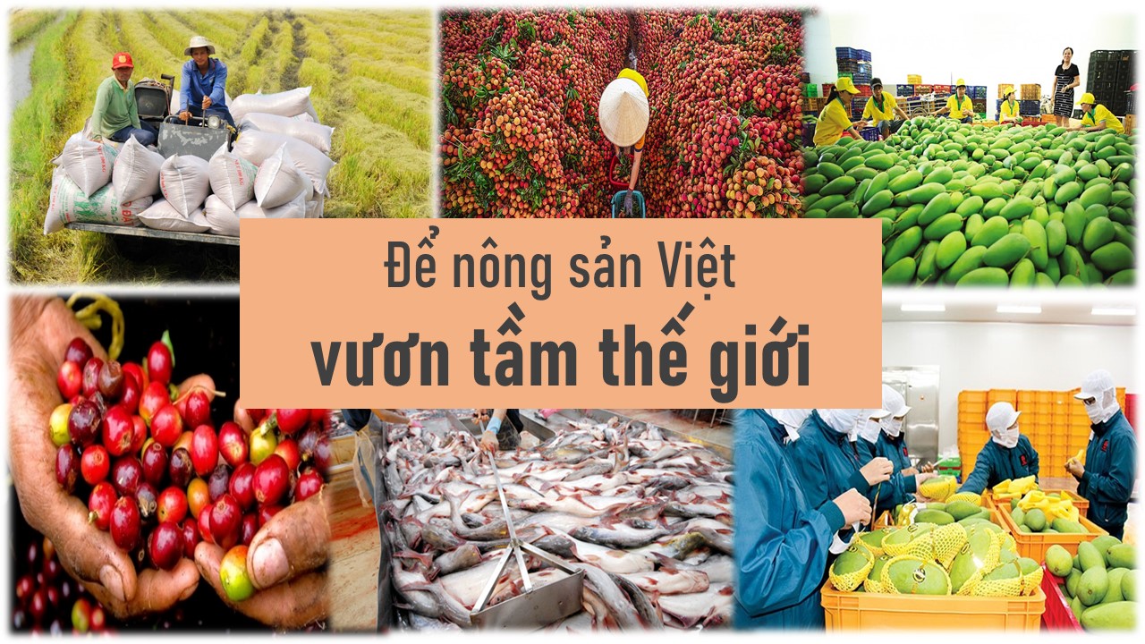 Ngay sau khi nhận được yêu cầu, chúng tôi sẽ liên hệ lại quý khách trong thời gian sớm nhất! Hoặc gọi vào số hotline: 0989847698 nếu quý khách cần tư vấn gấp!
