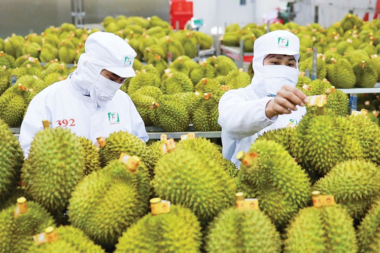 Ngay sau khi nhận được yêu cầu, chúng tôi sẽ liên hệ lại quý khách trong thời gian sớm nhất! Hoặc gọi vào số hotline 0847 865 568 nếu quý khách cần tư vấn gấp!